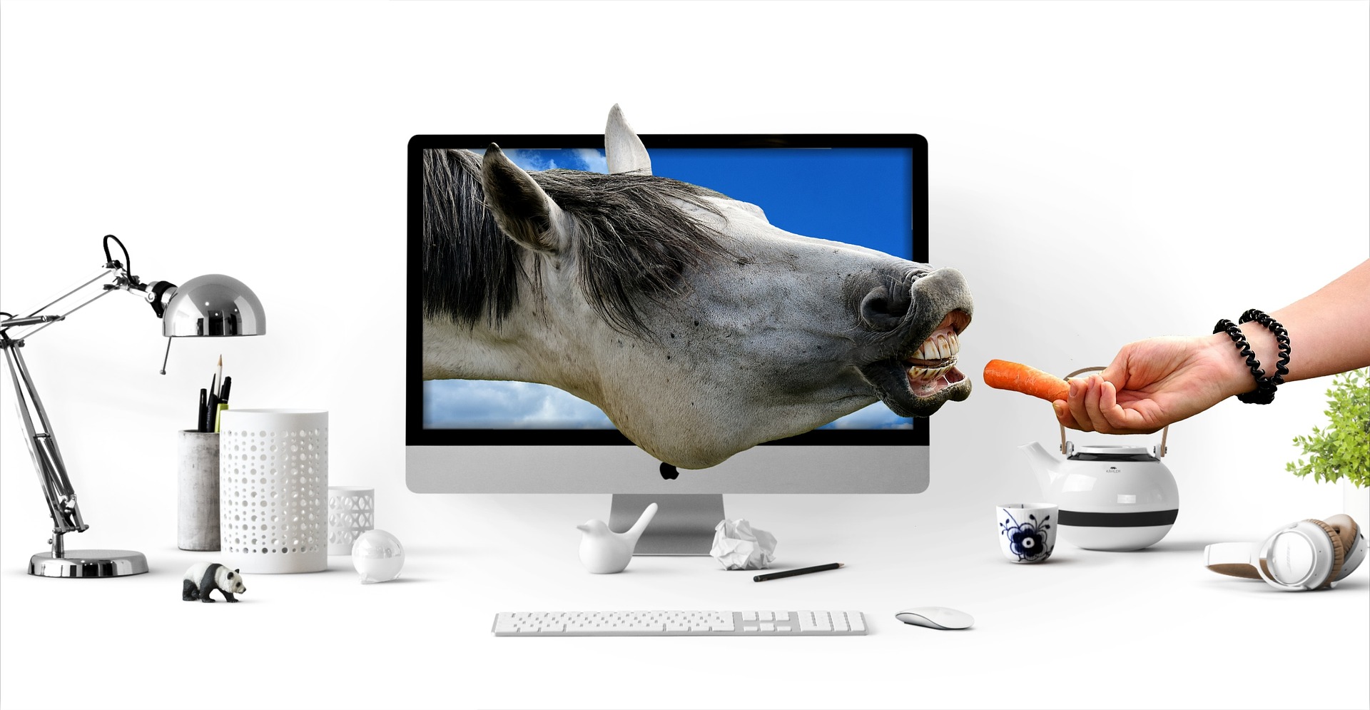tête de cheval dans écran d'ordi