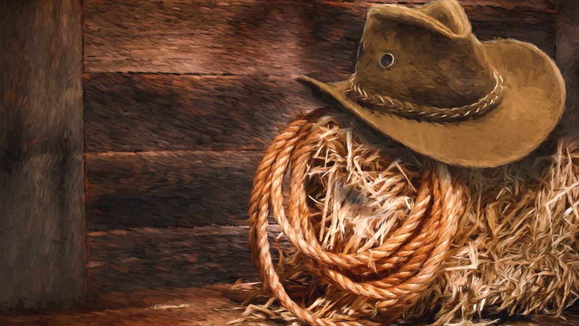 Jeu de piste : « Enquête pas bête au Far West »