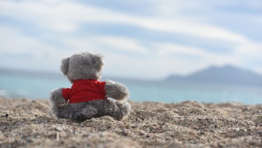 Le doudou (ou objet transitionnel)