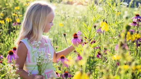 L’écologie enseignée aux enfants
