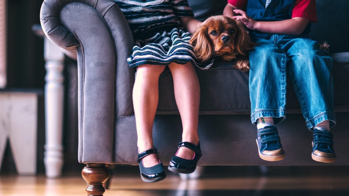 Comment faire obéir les enfants ?