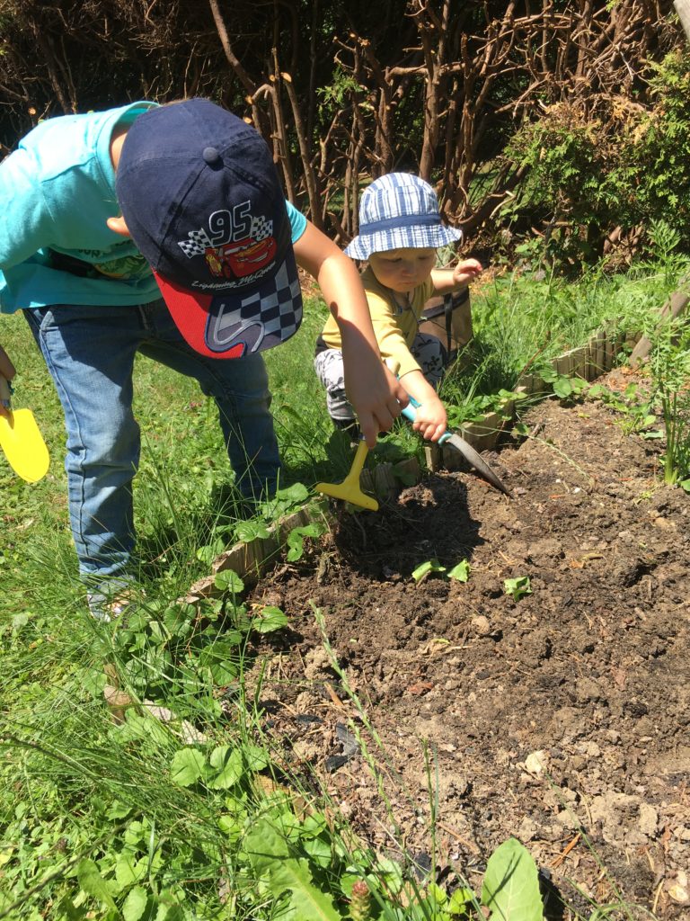 Les garçons s'adonnent au jardinage