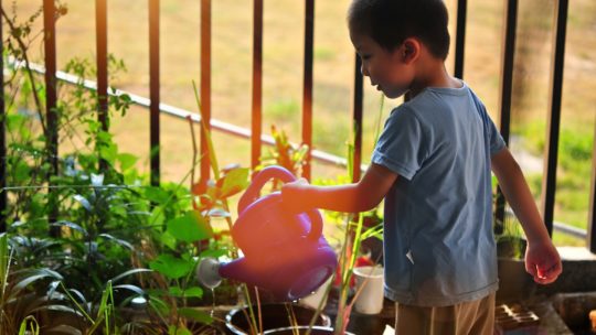Jardiner avec les enfants : entre apprentissages et moments de partage